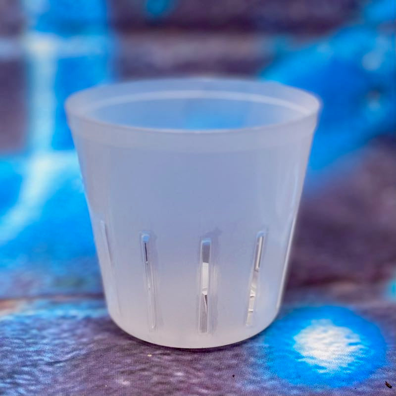 3 inch Slotted Clear Orchid Pots